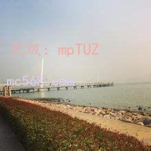 ͨ